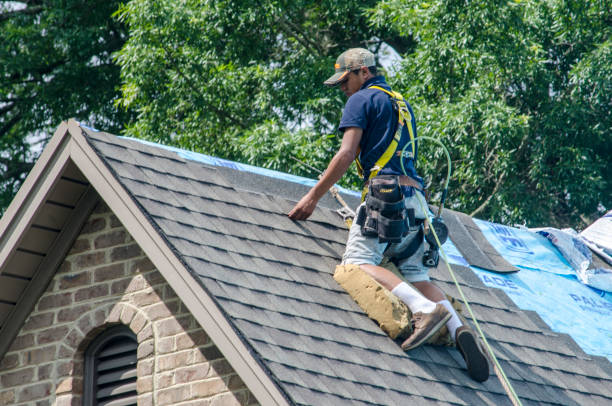 Best Gutter Installation and Roofing  in Edgeworth, PA
